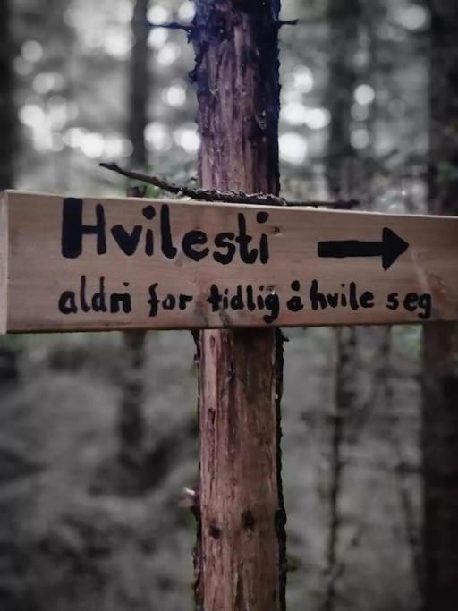 Hotel Treetop Ekne - Hytte I Skogen Med Hengebru Levanger Exterior foto